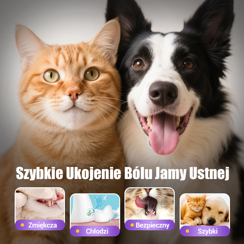🐕 Cumperi 1, primești 1 gratuit🐱🐶Gel de igienă orală pentru animale🌈