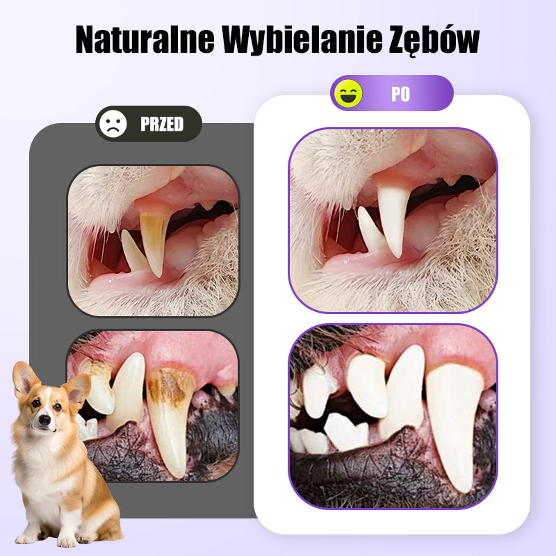 🐕 Cumperi 1, primești 1 gratuit🐱🐶Gel de igienă orală pentru animale🌈