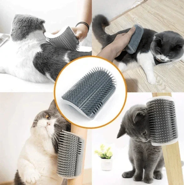 😻🐈Mačja masažna igrača za nego