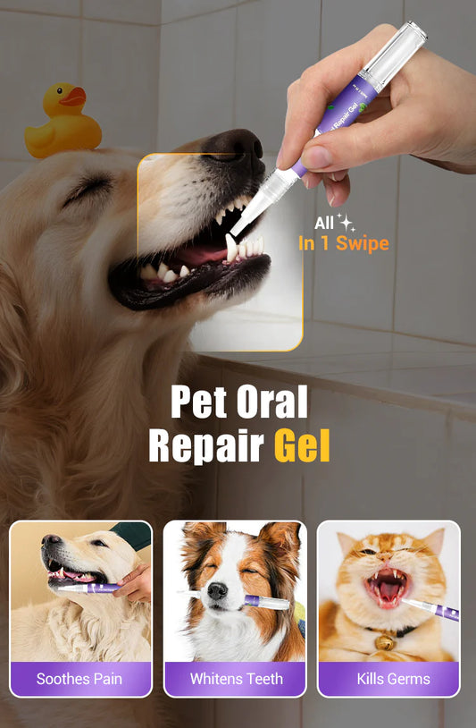 🐕 Cumperi 1, primești 1 gratuit🐱🐶Gel de igienă orală pentru animale🌈