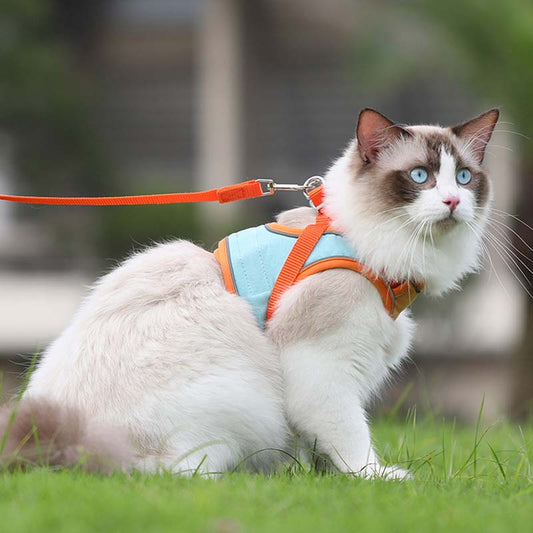 Oprsnica in povodec proti pobegu (🐱 samo za mačke)