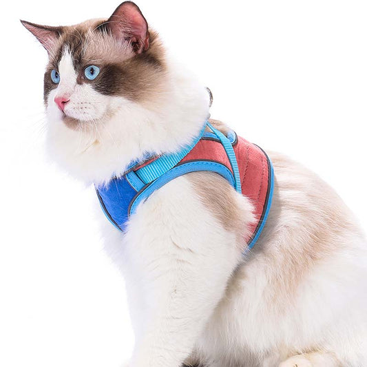 Oprsnica in povodec proti pobegu (🐱 samo za mačke)