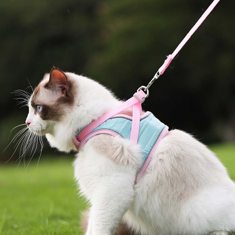 Oprsnica in povodec proti pobegu (🐱 samo za mačke)