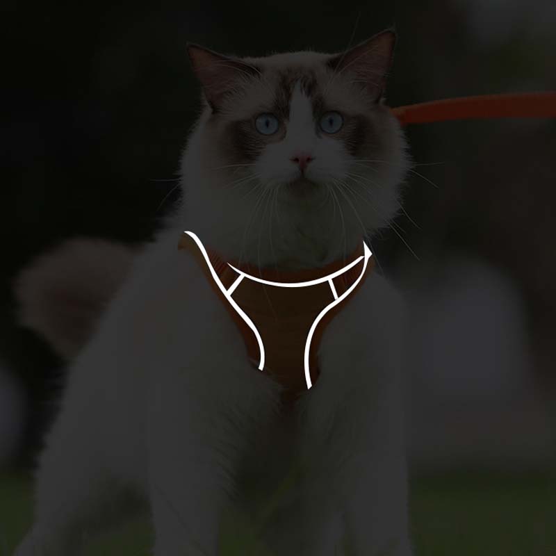 Oprsnica in povodec proti pobegu (🐱 samo za mačke)