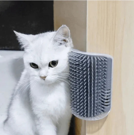 😻🐈Mačja masažna igrača za nego