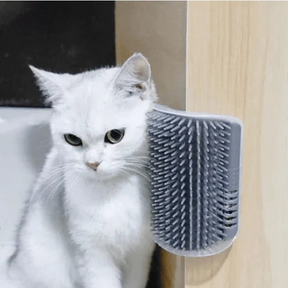 😻🐈Mačja masažna igrača za nego