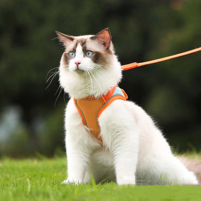 Oprsnica in povodec proti pobegu (🐱 samo za mačke)