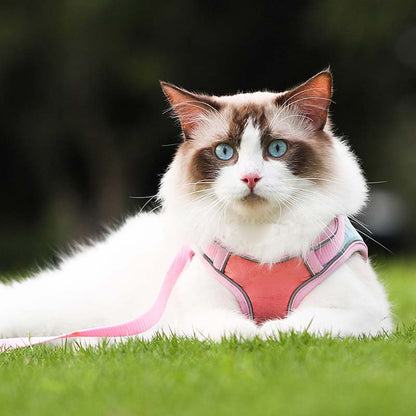 Oprsnica in povodec proti pobegu (🐱 samo za mačke)